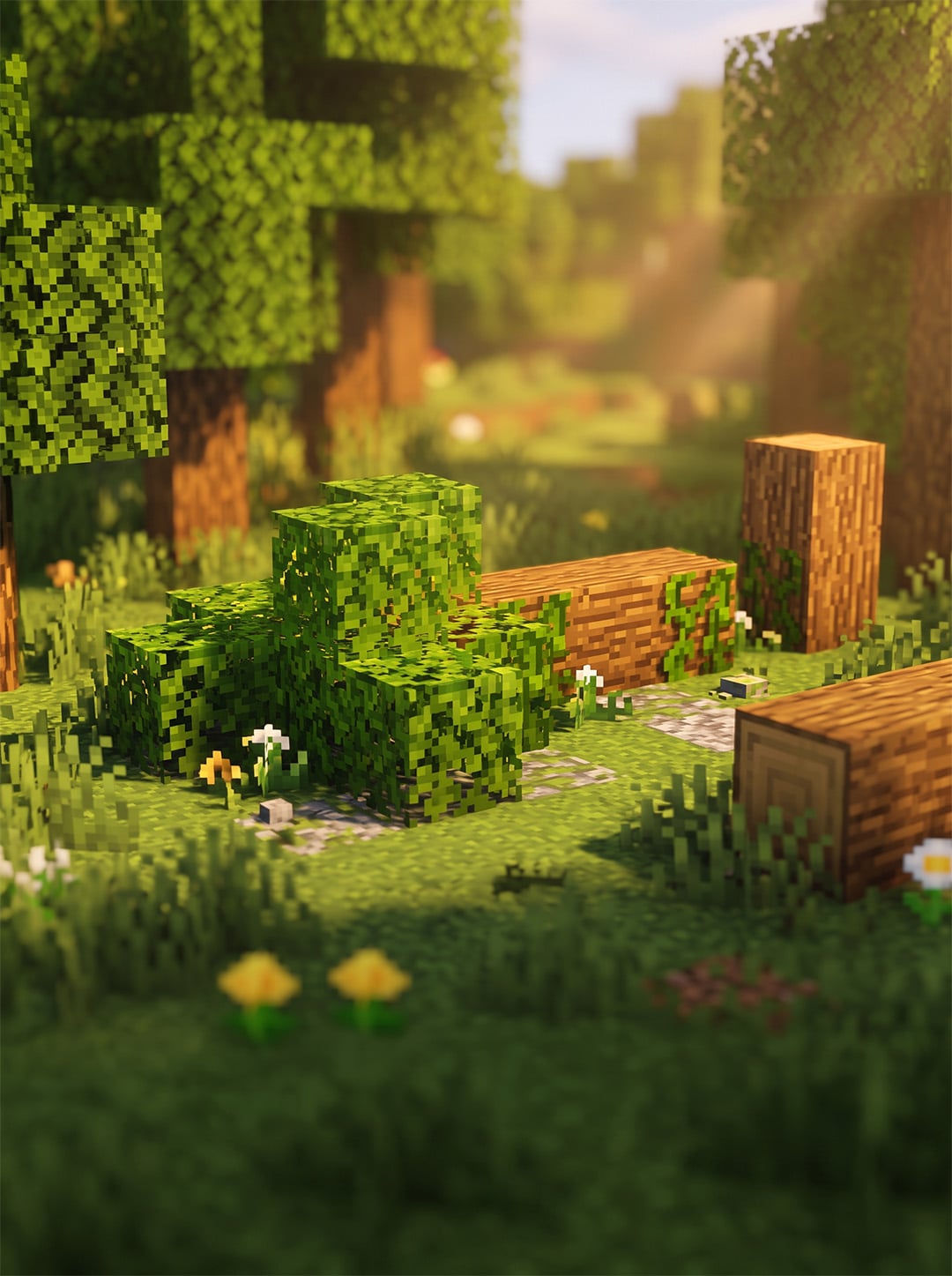 Fallen Tree
