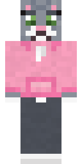 Cozy Cat Minecraft skin