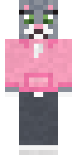 Cozy Cat Minecraft skin