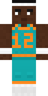 Hoop Star Minecraft skin