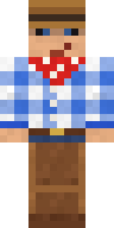 Rodeo Star Minecraft skin