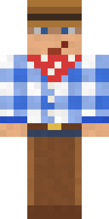 Rodeo Star Minecraft skin