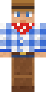 Rodeo Star Minecraft skin