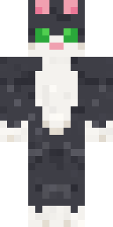 Tuxedo Cat Minecraft skin