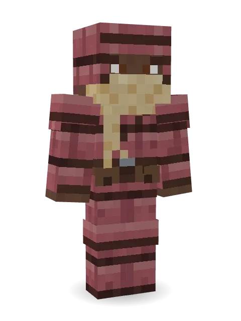 Armadillo Mercenary Minecraft skin in 3D