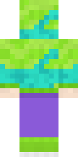 Chameleon Hoodie Minecraft skin, back view