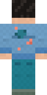Denim Artist Minecraft skin, back view