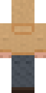 Doorbell Camera Visitor Minecraft skin, back view