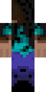 Enderbrine Minecraft skin, back view