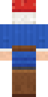 Garden Gnome Minecraft skin, back view