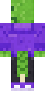 Gecko Skater Minecraft skin, back view