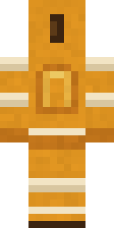 Honey Bot Minecraft skin, back view