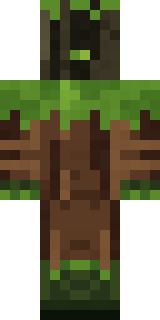 Ironwood Druid Minecraft skin, back view