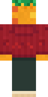 Mango Skate Punk Minecraft skin, back view