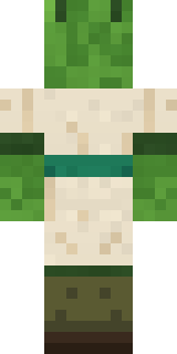 Mantis Master Minecraft skin, back view
