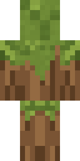 Nature Elemental Minecraft skin, back view