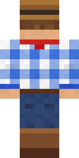 Rodeo Star Minecraft skin, back view
