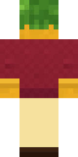 Sunflower Drummer Minecraft skin, back view