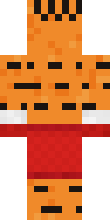Tiger Champ Minecraft skin, back view