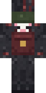 Waldo Buhonero Minecraft skin, back view