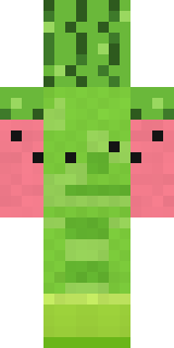 Watermelon Wrestler Minecraft skin, back view