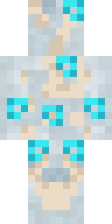Wind Elemental Minecraft skin, back view